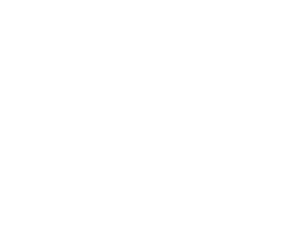 hub